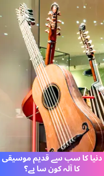 What is the world's oldest musical instrument?